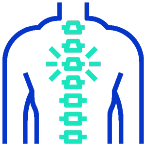 Kinesiologia vertebras Icono